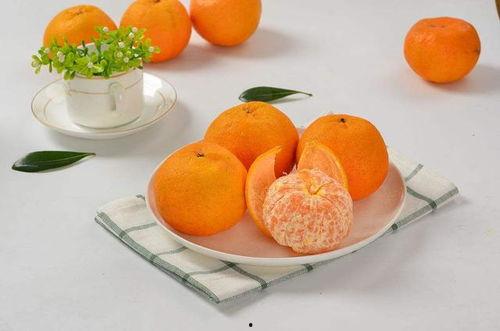 娱乐吃瓜酱橘子甜不甜 第1张 娱乐吃瓜酱橘子甜不甜 第1张